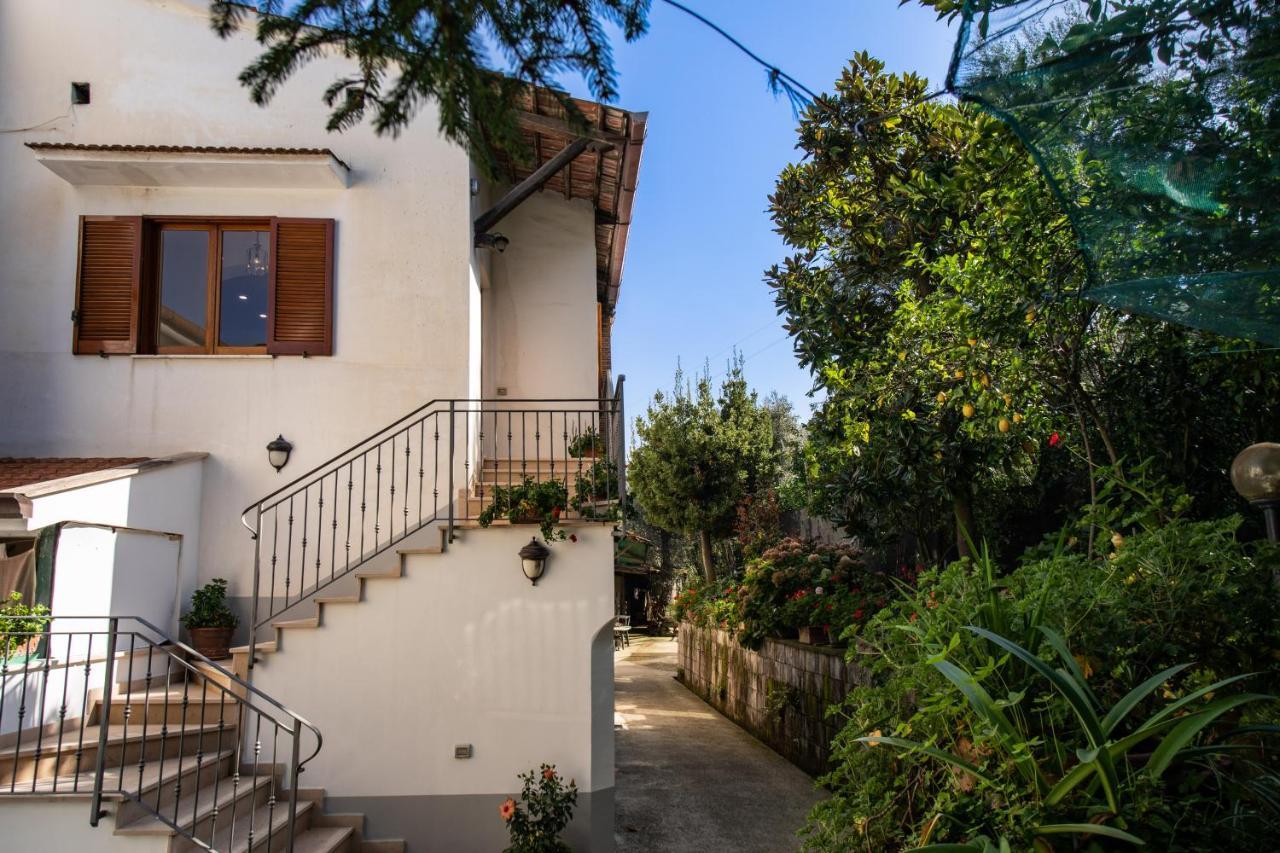 Mediterranean House Półwysep Sorrentyński Zewnętrze zdjęcie